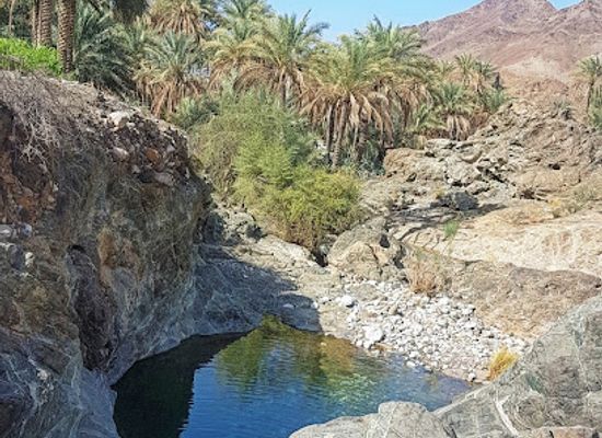 oman/rustaq/landmark/kadh-rustaq-mhafezh-south-alebatnh-sultanate-of-oman