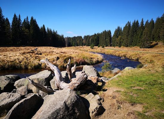 czechia/sumava-national-park/landmark/modravske-slate