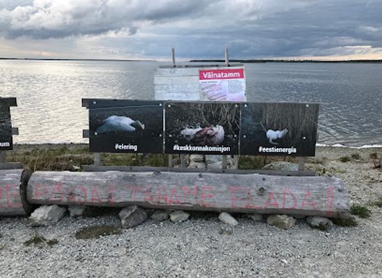 estonia/saare-county/landmark/vainatamm