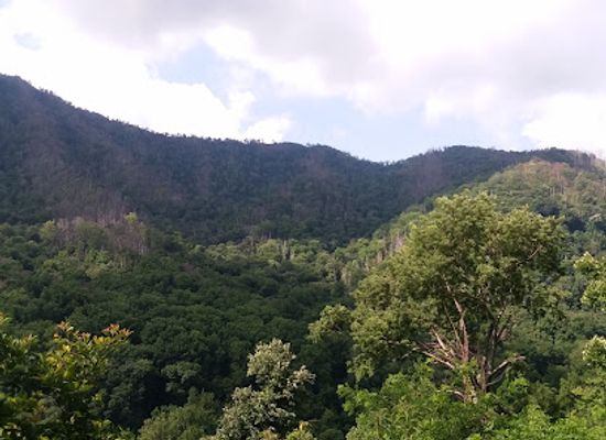 north-carolina/great-smoky-mountains/landmark/mingus-mill