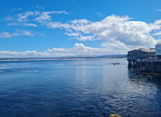 california/monterey/monterey-bay-aquarium/landmark/sea-otters