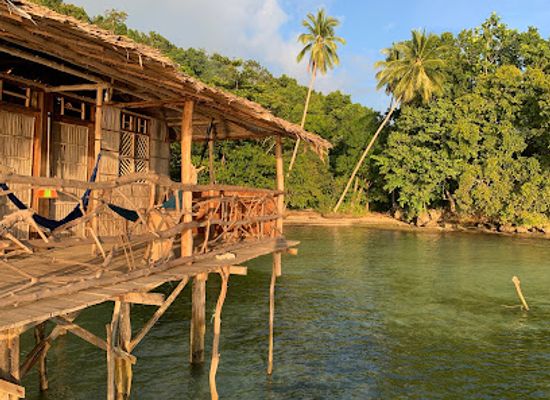 indonesia/south-papua/landmark/papuarts-alter-native-stay