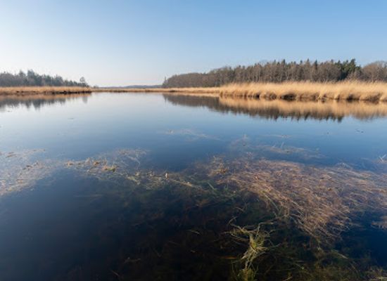netherlands/drenthe-province/landmark/boswachterij-grolloo