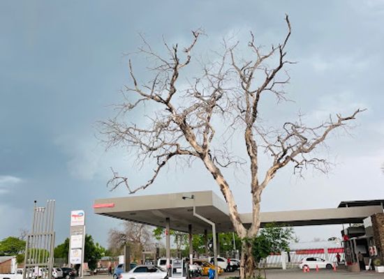 namibia/katima-mulilo/landmark/totalenergies-kamunu-service-station