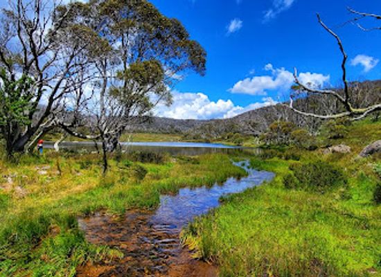 australia/kosciuszko-national-park/landmark/rainbow-lake-walking-track