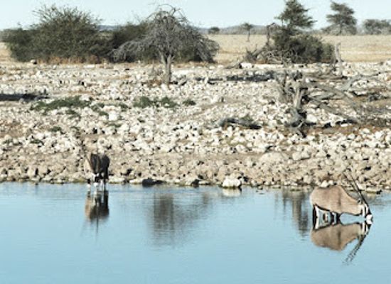 namibia/zambezi/landmark/etosha-national-park