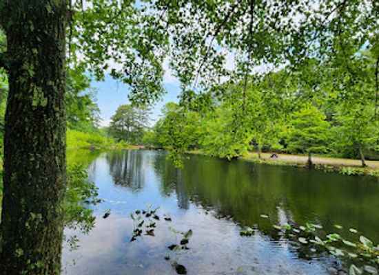 maryland/eastern-shore/landmark/pocomoke-river-state-park-shad-landing