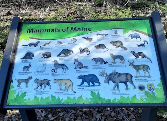 maine/aroostook-county/landmark/aroostook-national-wildlife-refuge-admin-building-and-visitor-contact-station