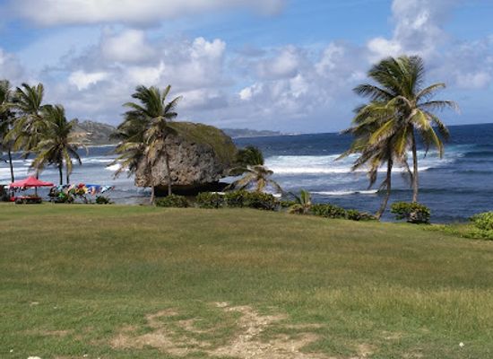 barbados/mullins-beach/landmark/andromeda-botanic-gardens