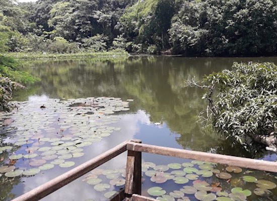 trinidad-and-tobago/st-paul/landmark/pointe-a-pierre-wildfowl-trust