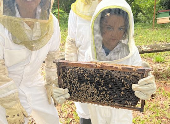 costa-rica/manuel-antonio/landmark/manuel-antonio-bee-farm