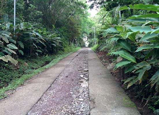 costa-rica/monteverde-cloud-forest/landmark/monteverde-butterfly-gardens