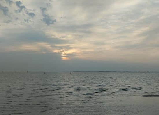 qatar/al-thakira-mangroves/landmark/dhakira-beach