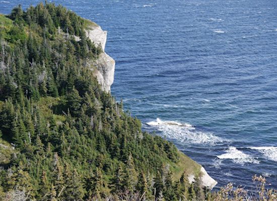 canada/forillon-national-park/landmark/phare-de-cap-gaspe