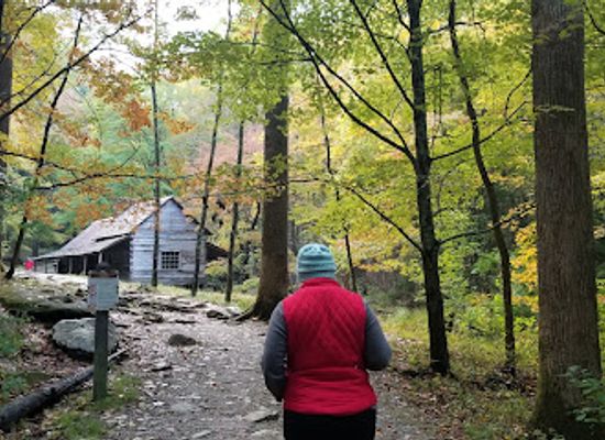 tennessee/great-smoky-mountains/landmark/noah-bud-ogle-cabin