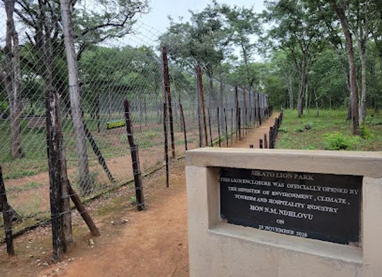 zimbabwe/lowveld/landmark/sikato-lion-park