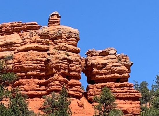 utah/dixie-national-forest/landmark/dixie-national-forest-dispersed-camping-area