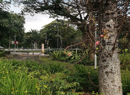 singapore/macritchie-reservoir/landmark/forest-walk