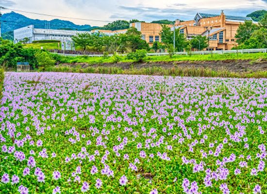 japan/sanuki/landmark/twin-pal-nagao