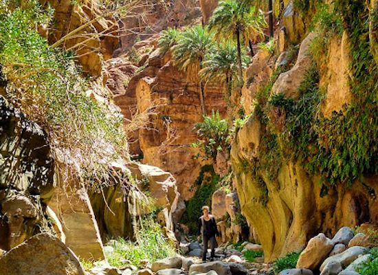 jordan/mujib-nature-reserve/landmark/dana-biosphere-reserve