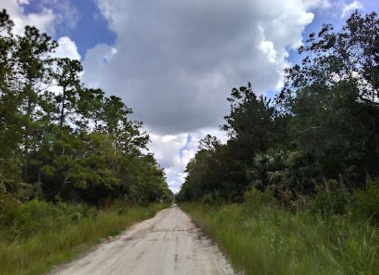 florida/big-bend/landmark/big-bend-wildlife-management-area