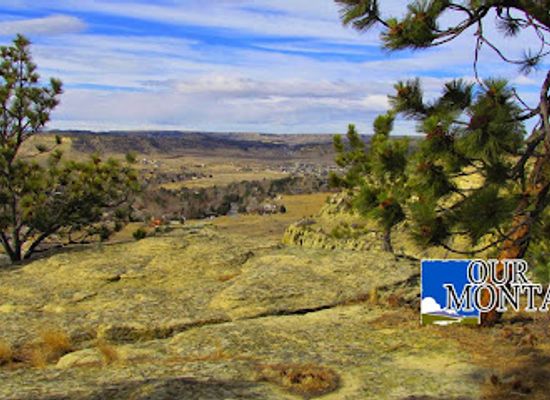 montana/billings/landmark/our-montana-inc