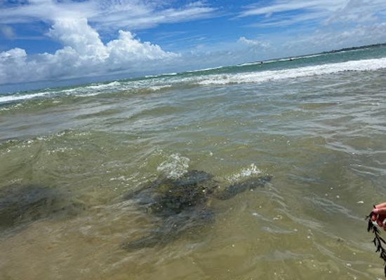 sri-lanka/hikkaduwa/landmark/turtle-beach-hikkaduwa