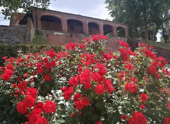 italy/lucca/landmark/piazzale-umberto-i