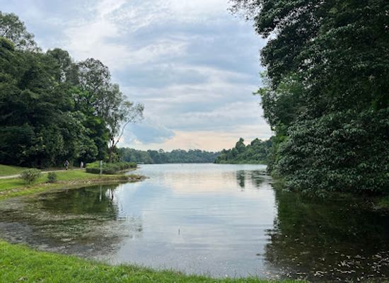 singapore/macritchie-reservoir/landmark/macritchie-prunus-trail