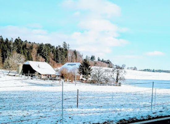 switzerland/western-switzerland/landmark/swiss-plateau