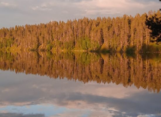 finland/hossa-national-park/landmark/kylmaluoma-hiking-area