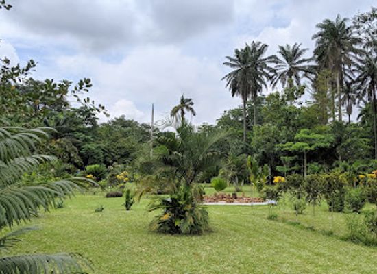 cote-d-ivoire/comoe/landmark/botanical-garden