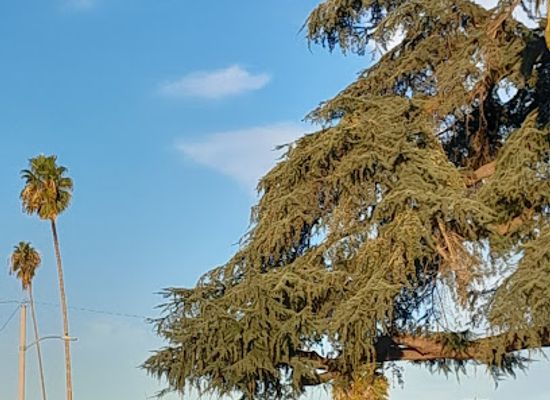 california/monterey-park/landmark/langley-senior-citizen-center