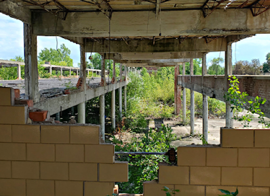 michigan/detroit/landmark/federal-mogul-ruins