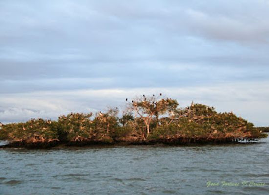 florida/naples-beach/landmark/conservancy-of-southwest-florida