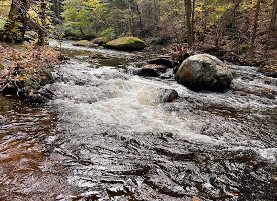 connecticut/hartford-county/landmark/cotton-hollow-preserve