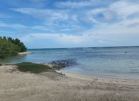 aruba/mangel-halto/landmark/savaneta-beach