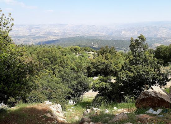 jordan/dibeen-forest/landmark/dibbeen-forest-reserve