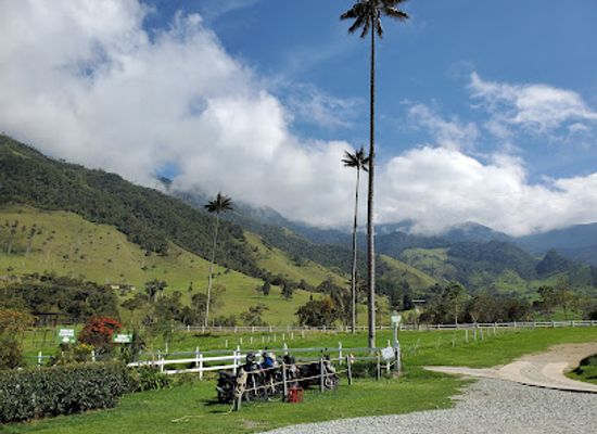 colombia/insular-region/landmark/cocora-valley