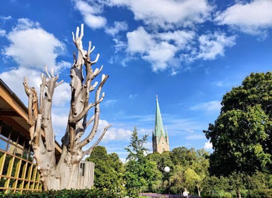 sweden/linkoping/attraction/linkoping-city-library
