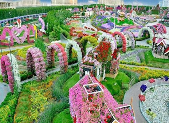 united-arab-emirates/arabian-gulf-coast/landmark/dubai-miracle-garden