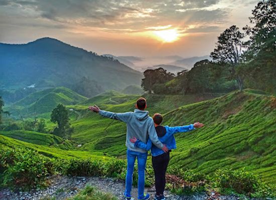 malaysia/cameron-highlands/landmark/discover-cameron-travel-tour