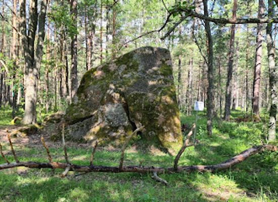 estonia/harjumaa/landmark/ancient-sacrificial-stone-aidakivi-heritage-of-estonia
