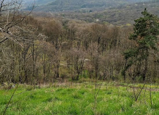 serbia/fruska-gora-national-park/landmark/zmajevac