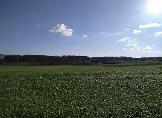 belgium/ypres/landmark/observatory-ridge