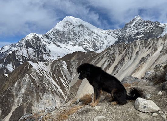 nepal/langtang-valley/landmark/kyanjin-ri-peak-4770m