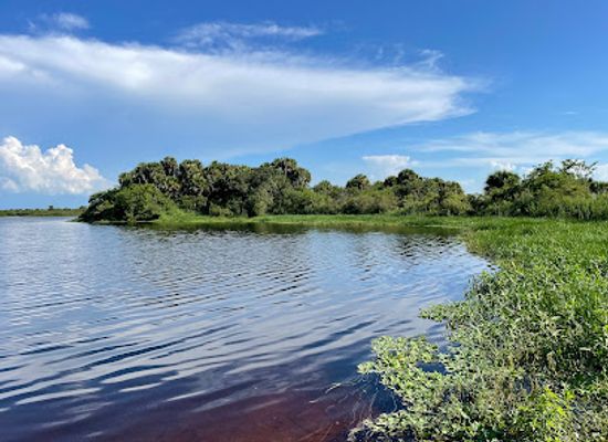 florida/nature-coast/landmark/fort-drum-wildlife-management-area