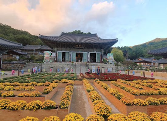 south-korea/daegu/landmark/donghwasa