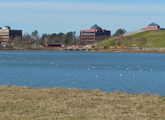 virginia/tidewater/landmark/mount-trashmore-park