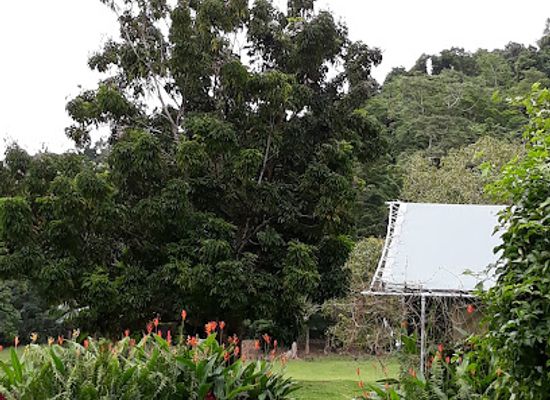 australia/cape-tribulation/landmark/daintree-rainforest-village